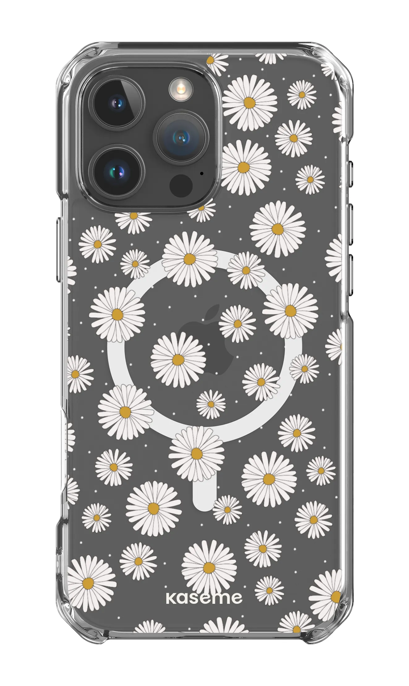 Ashley clear case
