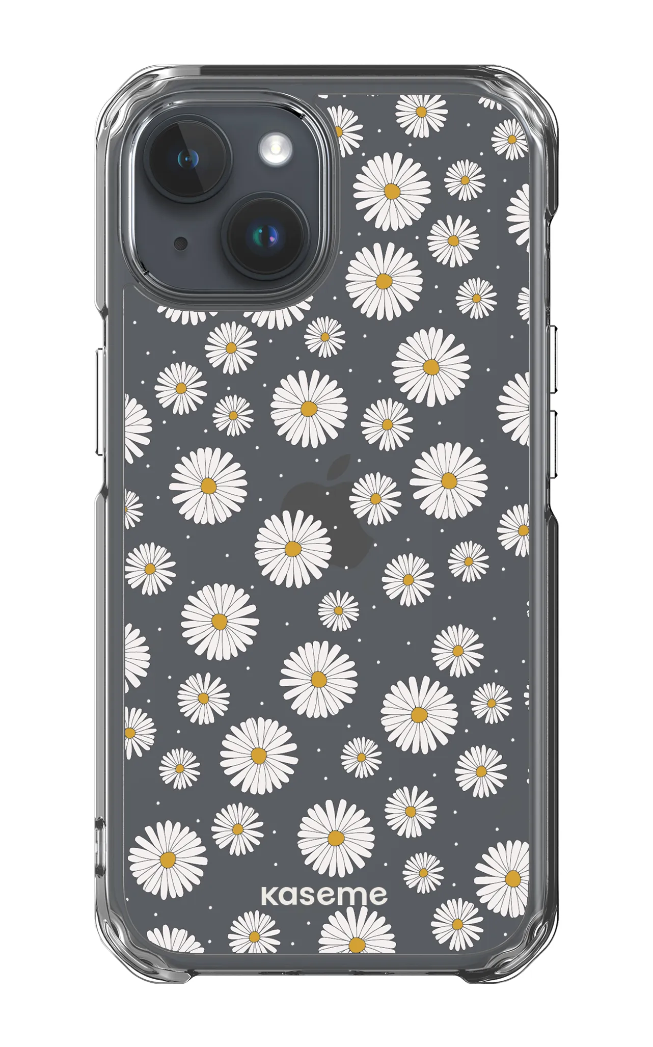 Ashley clear case