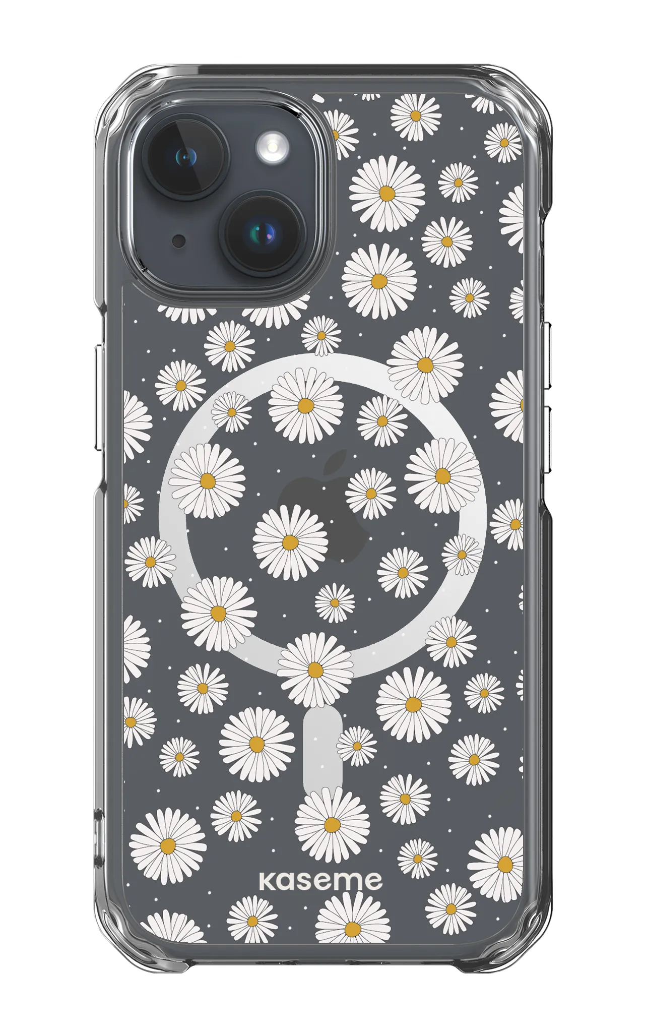 Ashley clear case