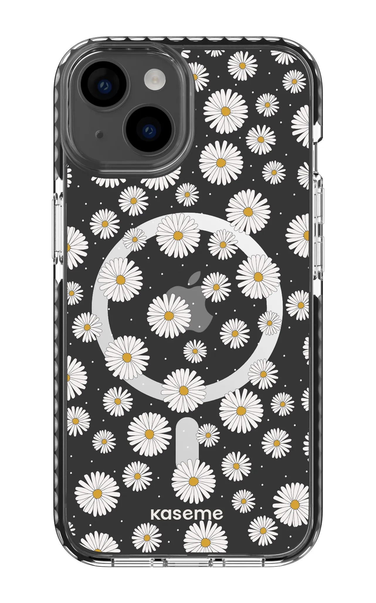 Ashley clear case