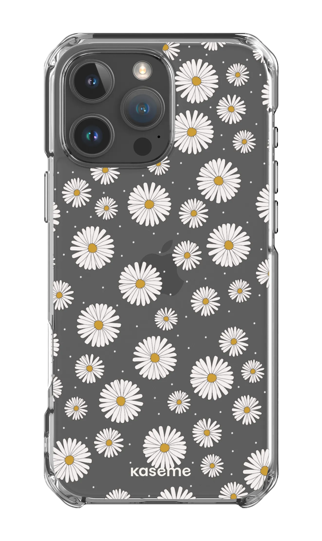 Ashley clear case