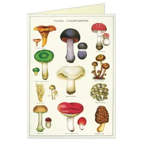 Cavallini Mushrooms Greeting Card