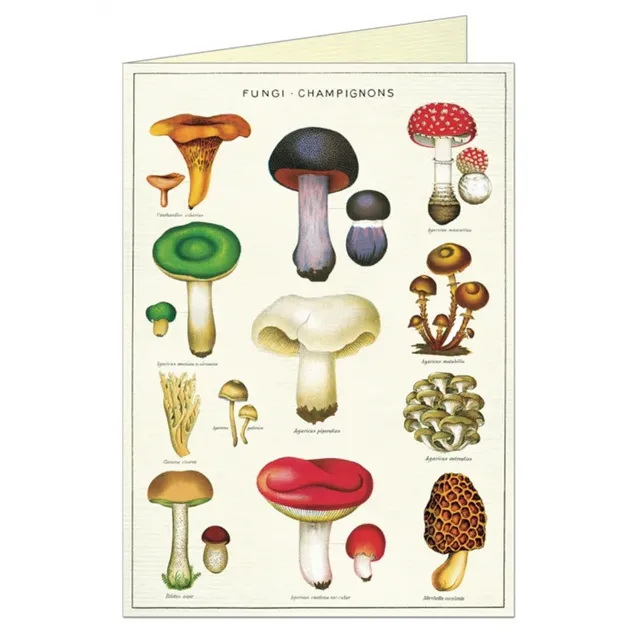 Cavallini Mushrooms Greeting Card