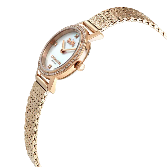 Coach Audrey Quartz Crystal Mother of Pearl Dial Ladies Watch 14503372