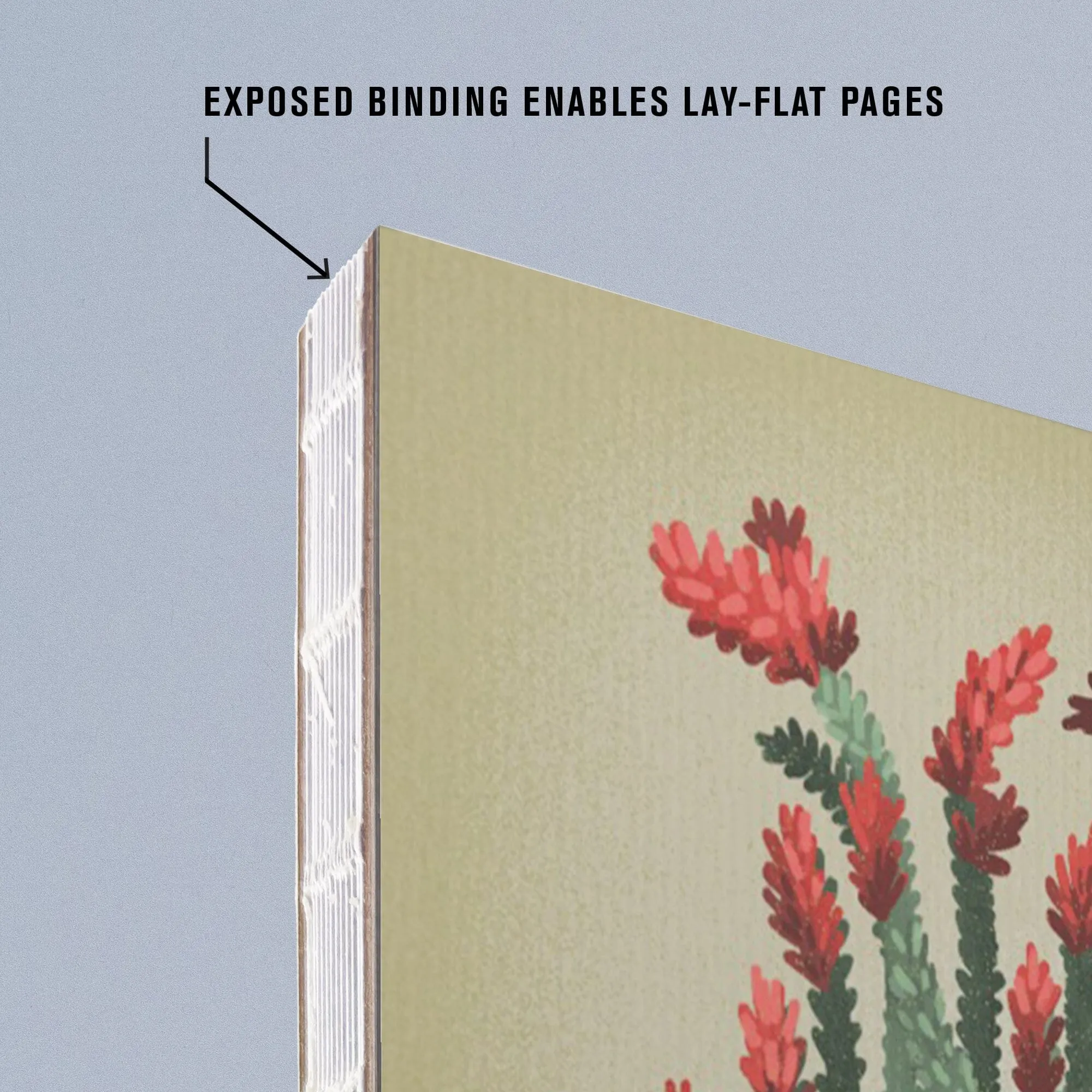 Lined 6x9 Journal, Big Bend National Park, Ocotillo, Vintage Flora, Lay Flat, 193 Pages, FSC paper