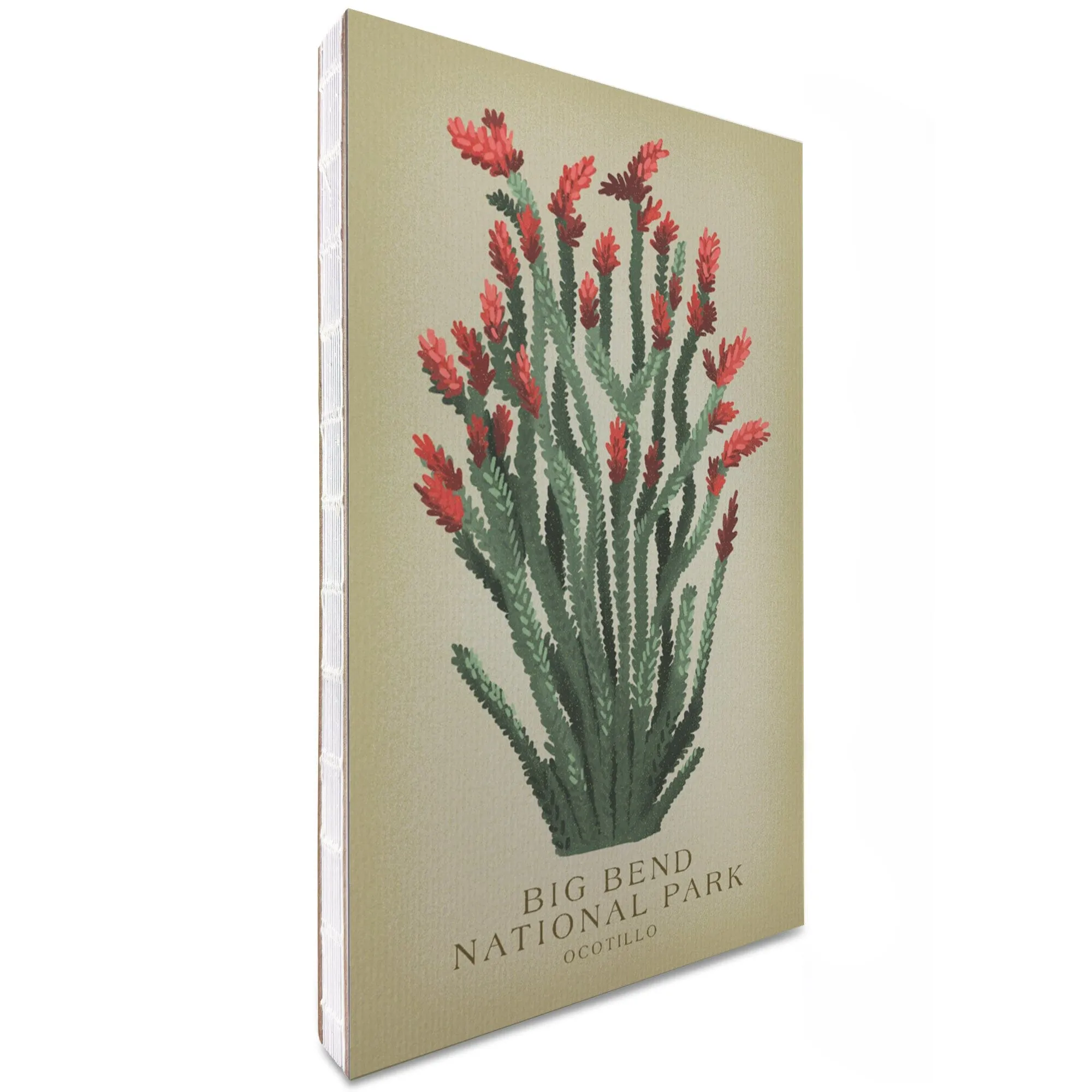 Lined 6x9 Journal, Big Bend National Park, Ocotillo, Vintage Flora, Lay Flat, 193 Pages, FSC paper