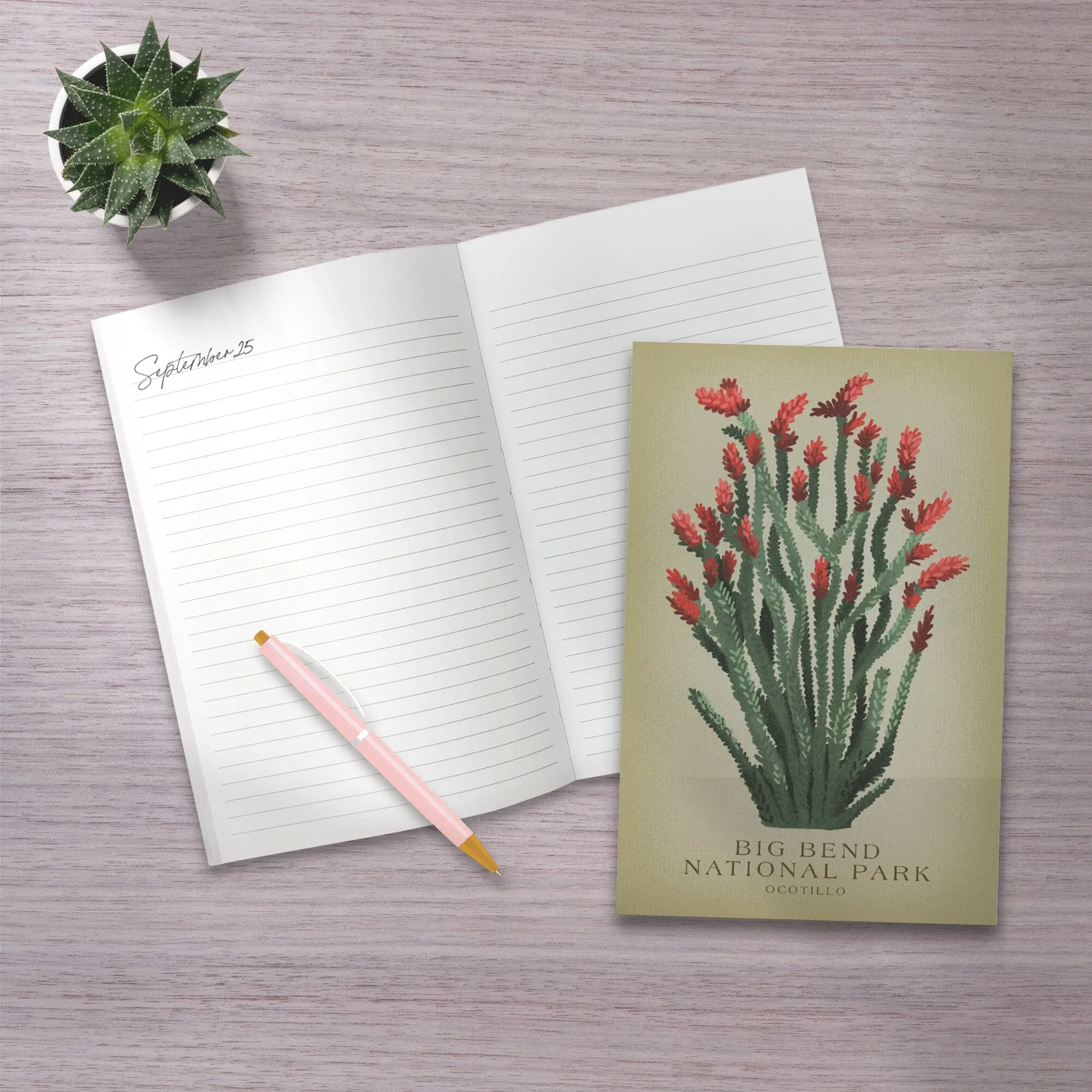 Lined 6x9 Journal, Big Bend National Park, Ocotillo, Vintage Flora, Lay Flat, 193 Pages, FSC paper