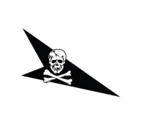 VF-84 Helmet Markings - Right